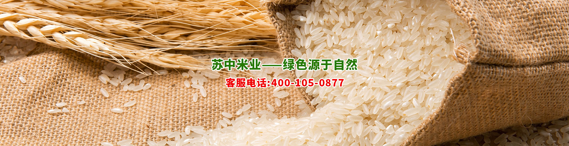 苏中米业