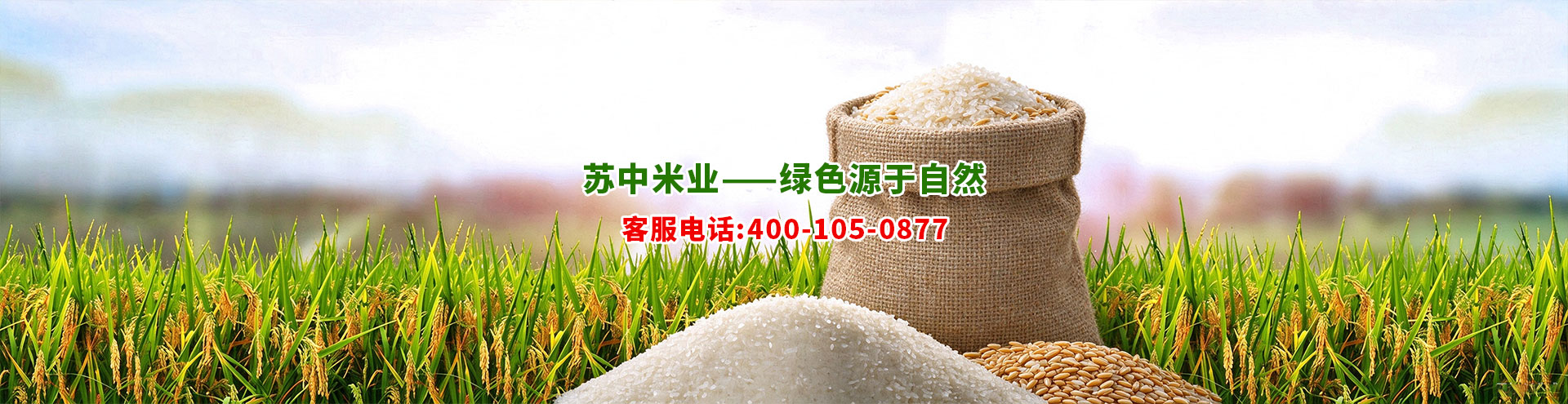 苏中米业